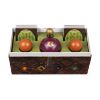 Picture of Spin Master Board Games: Harry Potter Catch The Snitch - Quiddich Game (6063731)