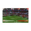 Picture of PS4 Sociable Soccer 25
