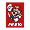 Picture of Pyramid Nintendo: Super Mario (Characters) Poster Set (52x38cm) (PPB35414)