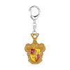 Picture of P.M.I. Harry Potter Metal Premium Keychains Collection - 6 Pack Deluxe Box (Random) (HP8550)