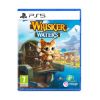 Picture of PS5 Whisker Waters