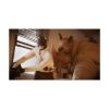 Picture of PS5 Blacksad: Under The Skin