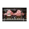 Picture of NSW Touhou Luna Nights Collector Edition