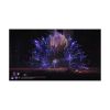 Picture of NSW Mandragora: Whispers of the Witch Tree - Collector's Edition