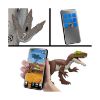 Picture of Mattel Jurassic World Rebirth: Rumble N' Rampage - Distortus Rex (JGB58)