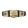 Picture of Mattel WWE: Role Play - Universal Championship Belt (HYJ35)