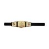 Picture of Mattel WWE: Role Play - Universal Championship Belt (HYJ35)