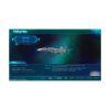 Picture of NSW Macross Shooting Insight