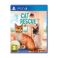 Picture of PS4 Cat Rescue Story