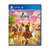 Picture of PS4 Horse Club Adventures