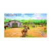 Picture of PS4 Horse Club Adventures
