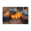 Picture of Little Tikes Chompin' Dino Trike (658556EUCG)