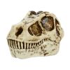 Picture of MGA Grossmos - Dino Head (121046)