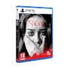 Picture of PS5 Maid of Sker