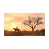 Picture of NSW Red Dead Redemption