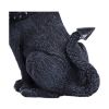 Picture of Nemesis Now Adult: Cult Cuties - Diabarkus Figure (10.5cm)