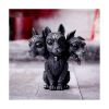 Picture of Nemesis Now Adult: Cult Cuties - Diabarkus Figure (10.5cm)