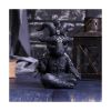 Picture of Nemesis Now Adult: Cult Cuties - Baphoboo Figure (14cm)
