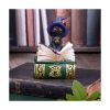 Picture of Nemesis Now Adult: Gothic - Binx Figure (11cm)