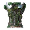 Picture of Nemesis Now: The Lord of The Rings - Middle Earth Treebeard Snow Globe (22cm)