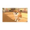 Picture of NSW Little Friends: Dogs & Cats (Code in a Box)