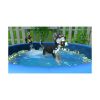 Picture of NSW Little Friends: Puppy Island (Code in a Box)