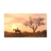 Picture of NSW Red Dead Redemption (Code in a Box)