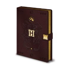 Picture of Pyramid Harry Potter - Quidditch Premium A5 Notebook (SR72883)