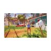 Picture of NSW Hello Neighbor