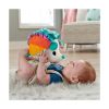 Picture of Fisher-Price Cuddle n' Snuggle Hedgehog Plush Refresh (HBP42)