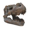 Picture of Nemesis Now: Tyrannosaurus - Rex Skull Freestanding (16cm) (D1245D5)