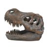 Picture of Nemesis Now: Tyrannosaurus - Rex Skull Freestanding (16cm) (D1245D5)