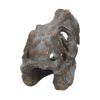 Picture of Nemesis Now: Tyrannosaurus - Rex Skull Freestanding (16cm) (D1245D5)