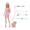 Picture of Mattel Barbie: Barbie Twinning Looks Doll and Accessories (JFP36)