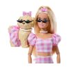 Picture of Mattel Barbie: Barbie Twinning Looks Doll and Accessories (JFP36)