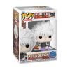 Picture of Funko Pop! Animation: Hunter X Hunter - Killua (Shelf Sitter) #2089 Vinyl Figure