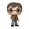 Picture of Funko Pop!: Harry Potter - Harry Potter #196 Vinyl Figure