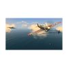 Picture of PS5 Warplanes: WWI Sky Aces + WW2 Dogflight