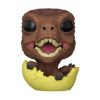 Picture of Funko Pocket Pop! Singles: Jurassic World (Spring) - Velociraptor Hatchling Vinyl Figure