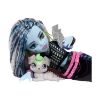Picture of Mattel Monster High: Basic Series - Frankie Stein Doll (New Design) (JHK31)