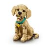 Picture of LEGO® Icons: Golden Retriever Puppy (11384)