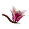 Picture of LEGO® Botanicals:  Magnolia Branches (11510)