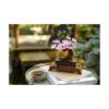 Picture of LEGO® Botanicals: Bonsai Tree (10281)