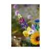 Picture of LEGO® Botanicals: Wildflower Bouquet (10313)