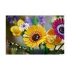 Picture of LEGO® Botanicals: Wildflower Bouquet (10313)