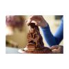 Picture of LEGO® Harry Potter™ : Talking Sorting Hat™ (76429)
