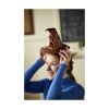 Picture of LEGO® Harry Potter™ : Talking Sorting Hat™ (76429)