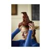 Picture of LEGO® Harry Potter™ : Talking Sorting Hat™ (76429)