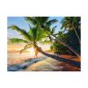 Picture of Ravensburger Puzzle: Φοίνικας (1500pcs) (12000693)