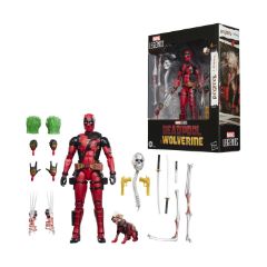 Picture of Hasbro Fans X-Men: Legends Solid Deluxe (G2126)